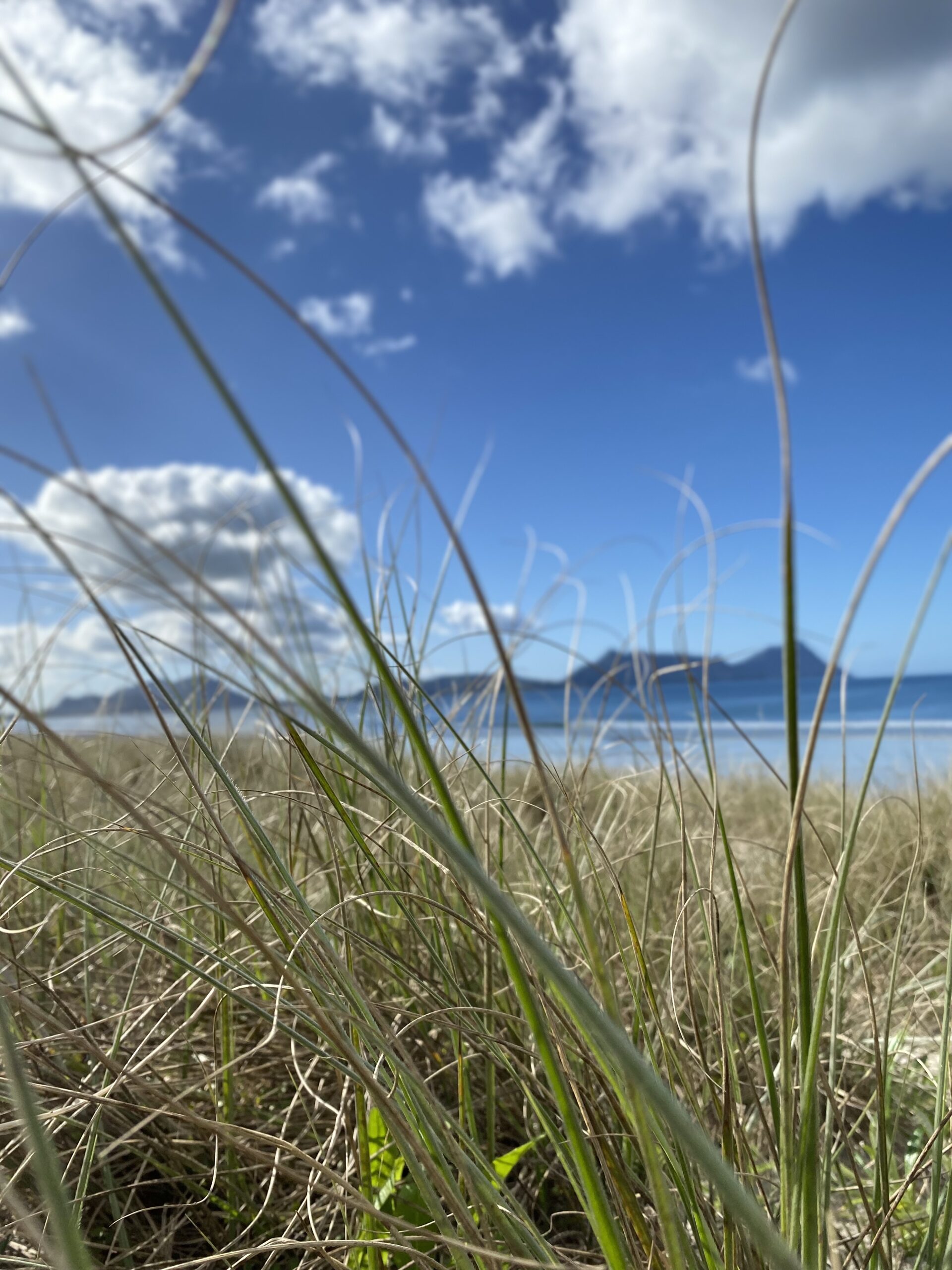 Tupu Tonu Acting Chief Executive Appointed